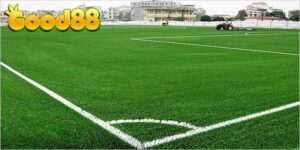 Khái niệm bóng đá cỏ?