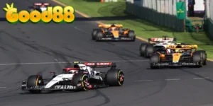 Cẩm nang cho người mới tham gia đặt cược giải đua xe F1