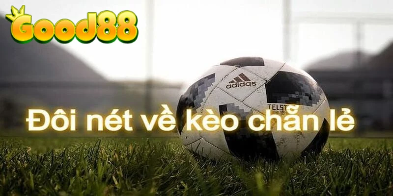 Hướng dẫn cách đánh giá kèo chẵn lẻ