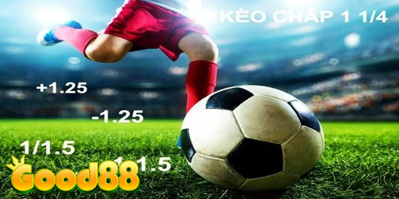 Nghiên cứu tỉ lệ kèo do nhà cái cung cấp